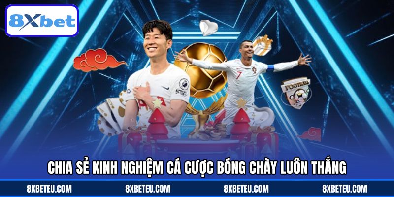 Chia sẻ kinh nghiệm cá cược bóng chày luôn thắng