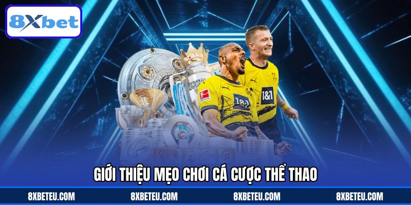 Giới thiệu mẹo chơi cá cược thể thao